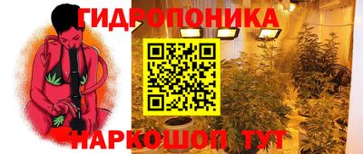 spice Гусиноозёрск