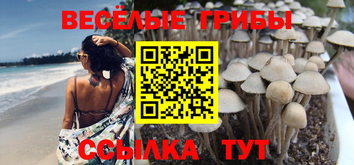 Звенигород  Галлюциногенные грибы мухоморы  Вход с VPN 
